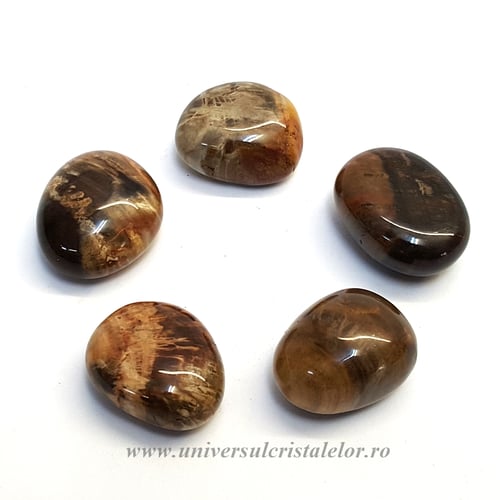 Lemn pietrificat piatra rulata