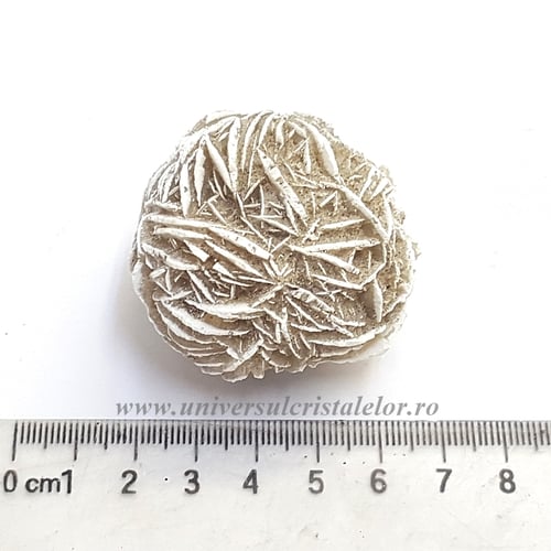 Trandafirul desertului 