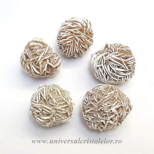 Trandafirul desertului 