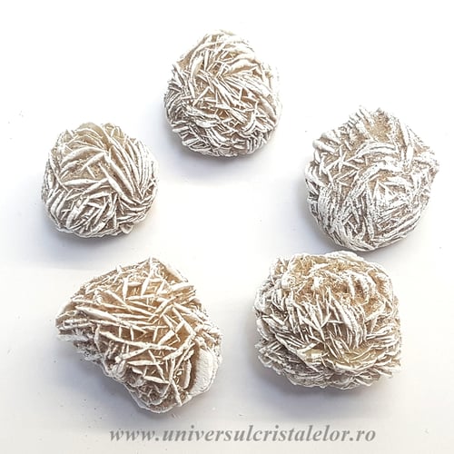 Trandafirul desertului 