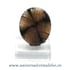 Cabochon chiastolit