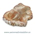 Lemn pietrificat 