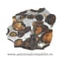 Meteorit Sericho Pallasite felie unicat m01
