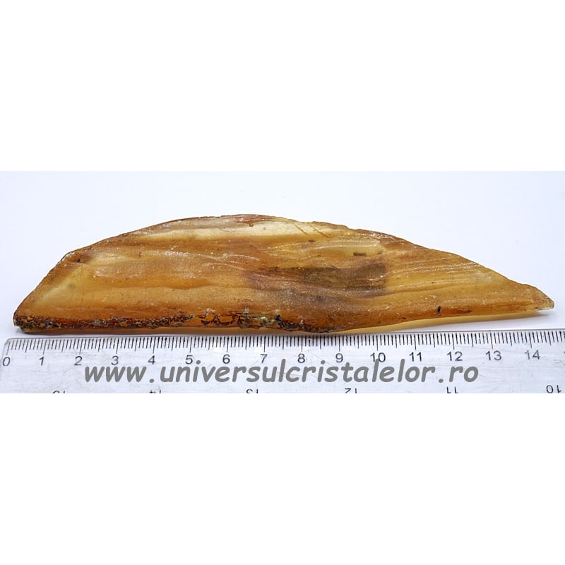 Copal (Chihlimbar tanar)