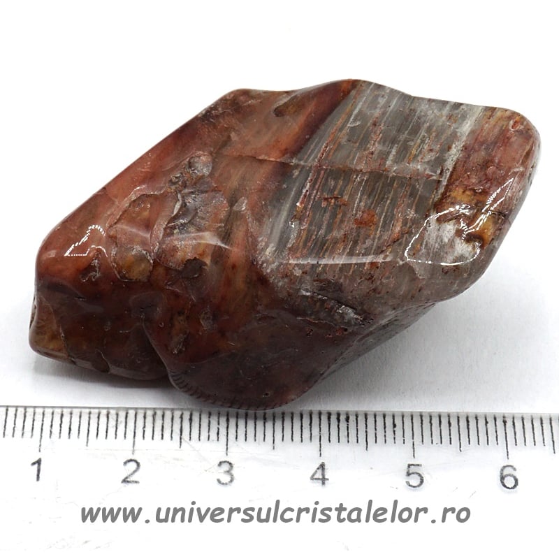 Cuart amfibol polisat