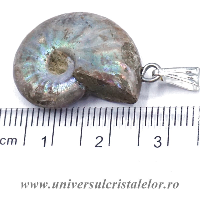 Pandantiv amonit cleoniceras