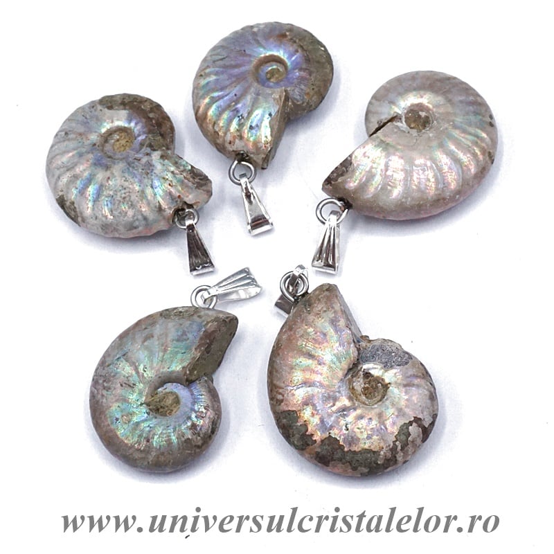 Pandantiv amonit cleoniceras