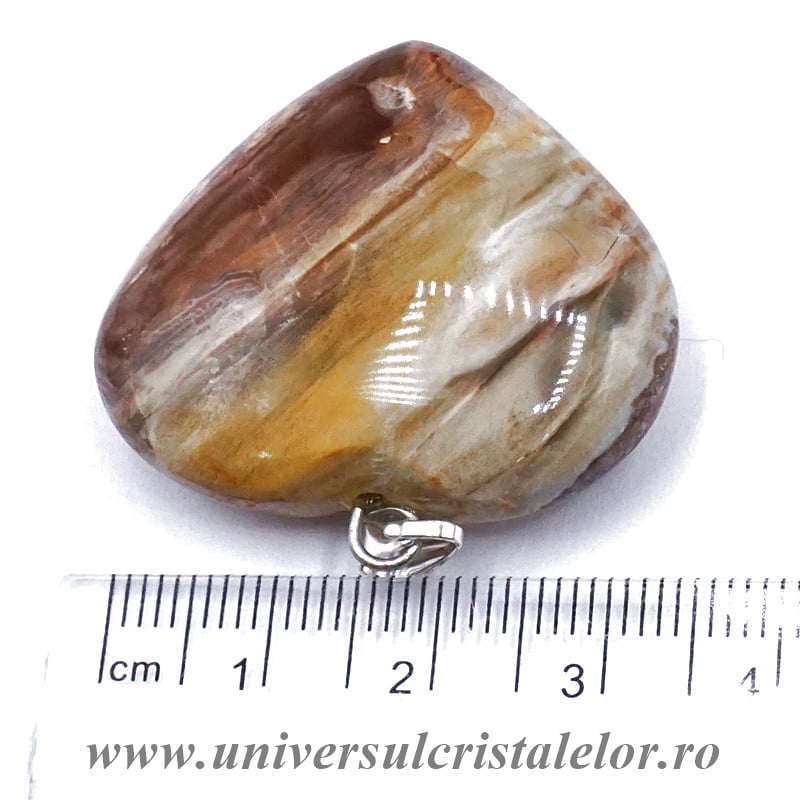 Pandantiv lemn pietrificat inima