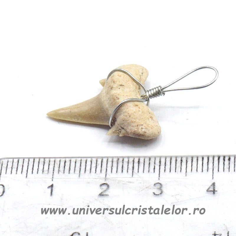 Pandantiv dinte de rechin