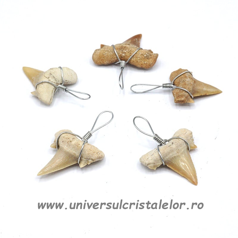 Pandantiv dinte de rechin