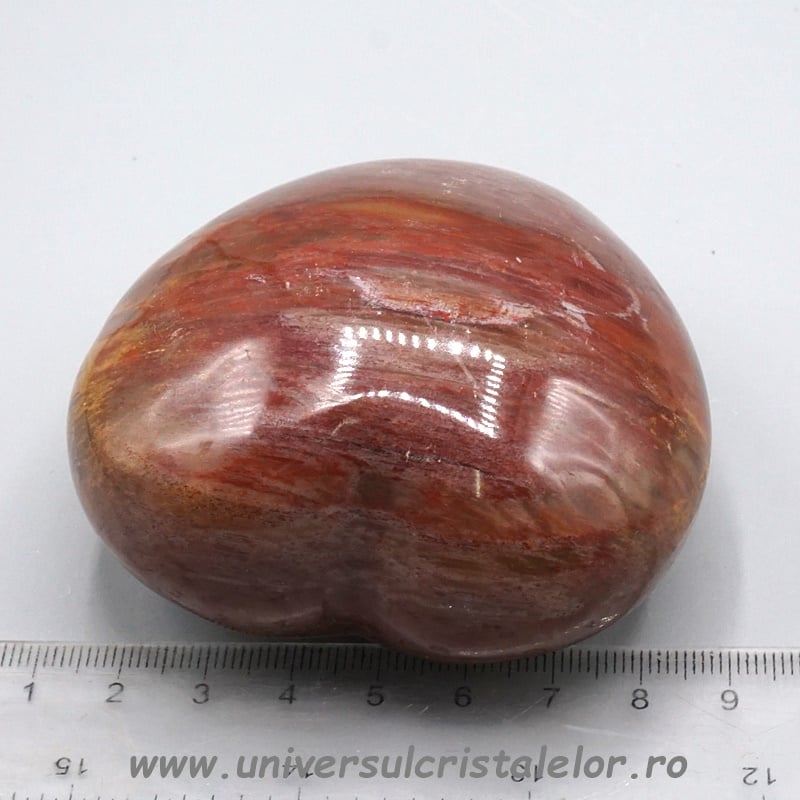 Inima lemn pietrificat