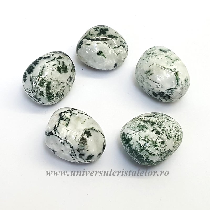 Agat copac piatra rulata