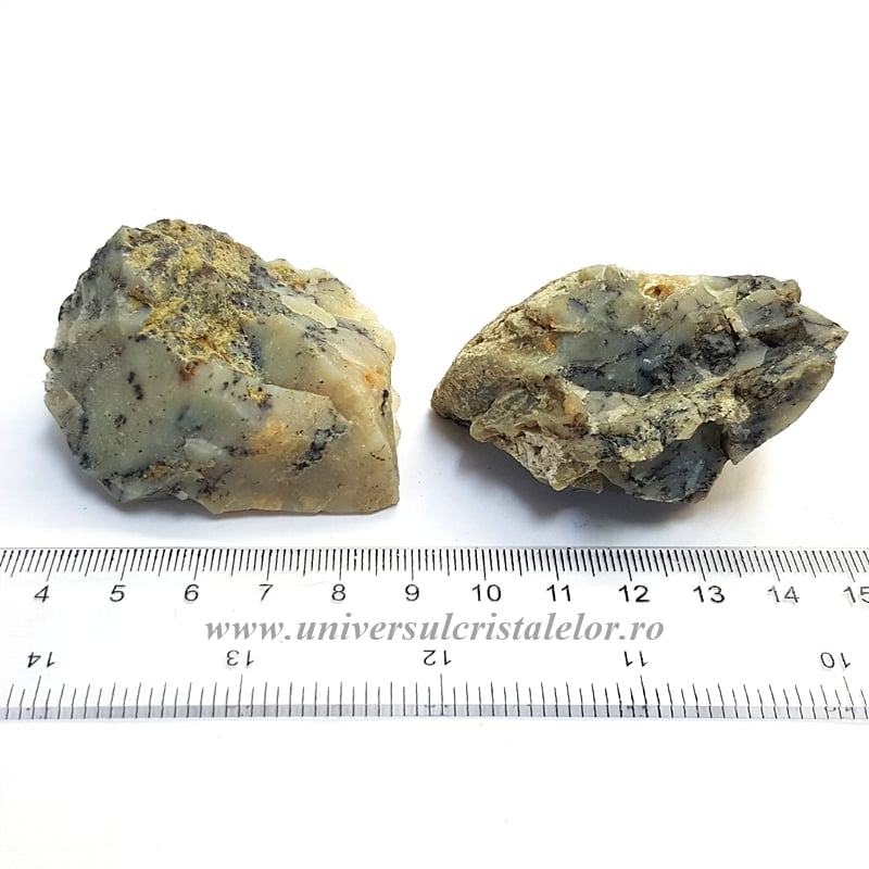 Agat dendritic ( Merlinit )