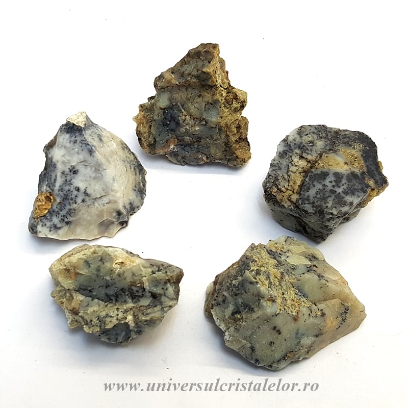 Agat dendritic ( Merlinit )