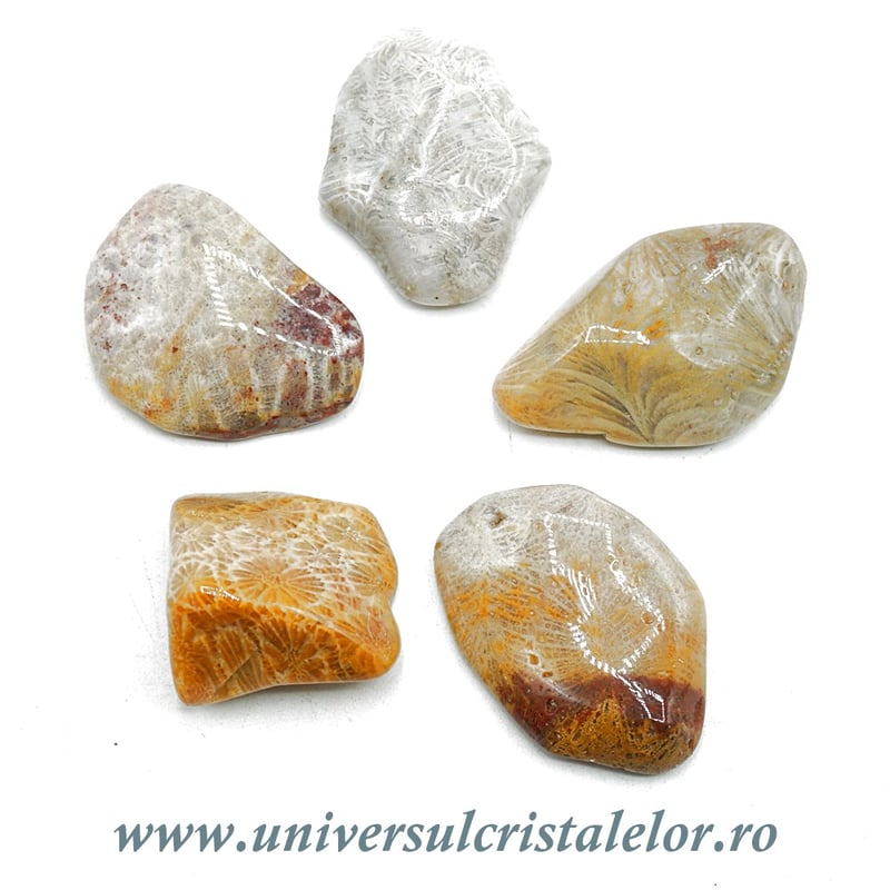 Agat coral piatra rulata