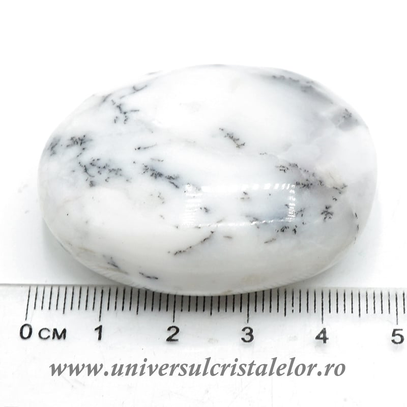 Agat dendritic polisat