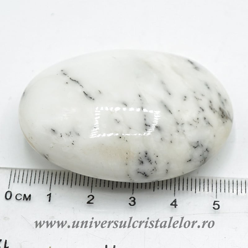 Agat dendritic polisat