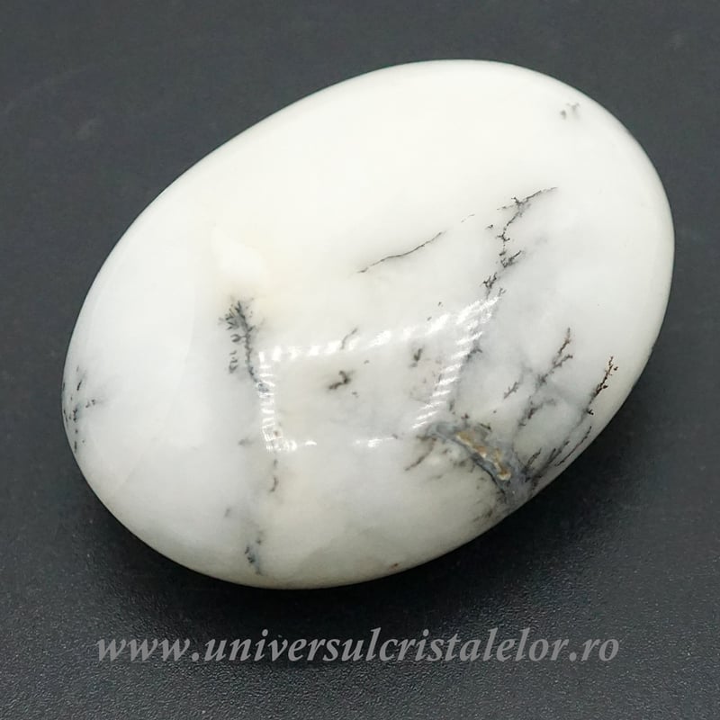 Agat dendritic polisat