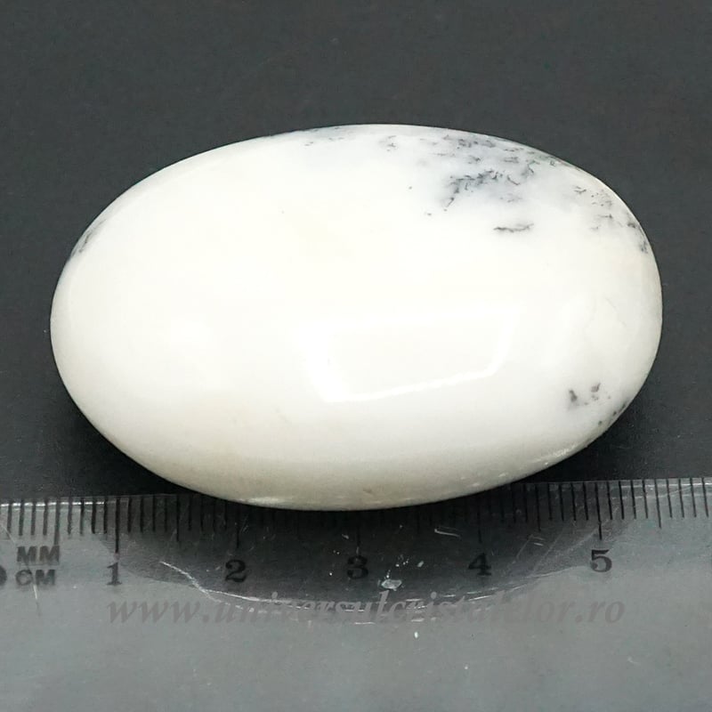 Agat dendritic polisat