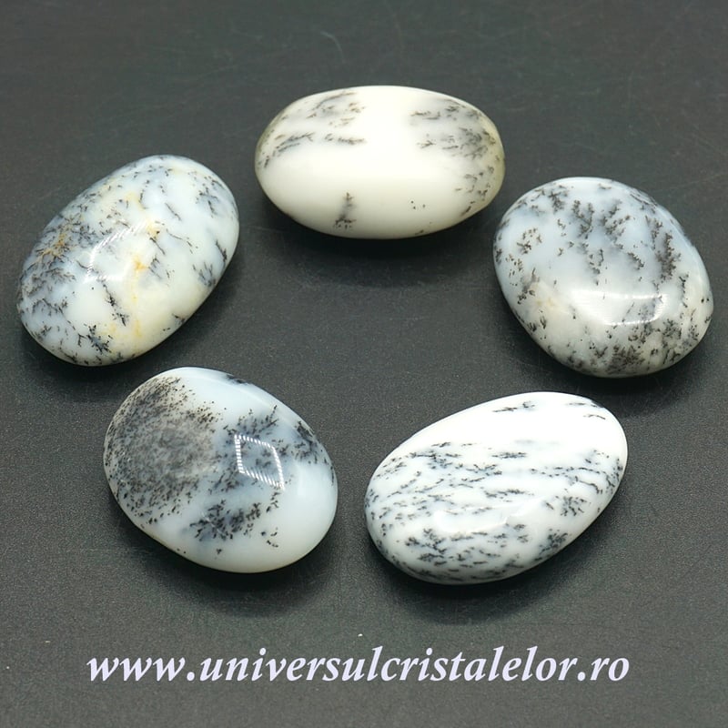 Agat dendritic polisat