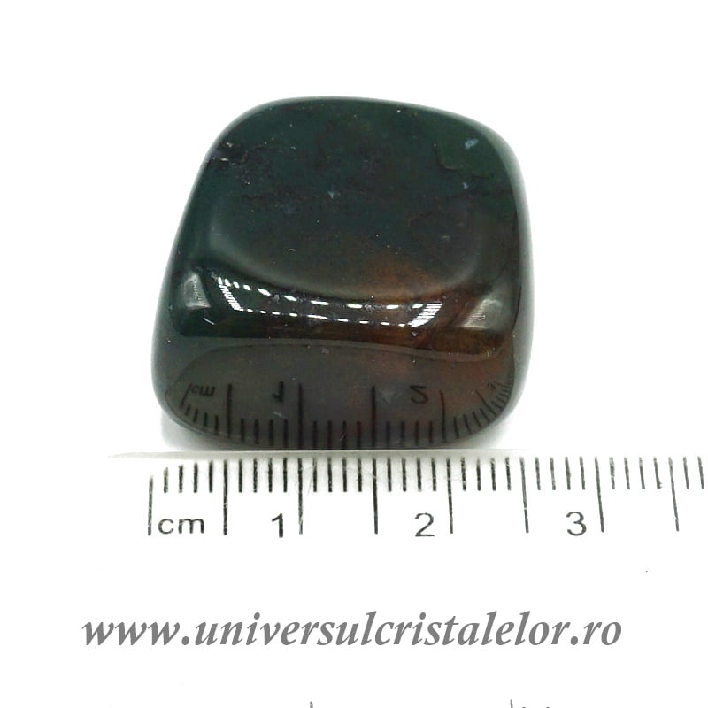 Agat muschi piatra rulata