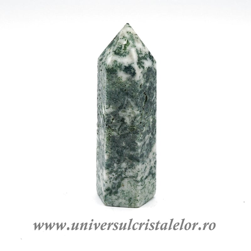 Agat muschi varf cu baza m1