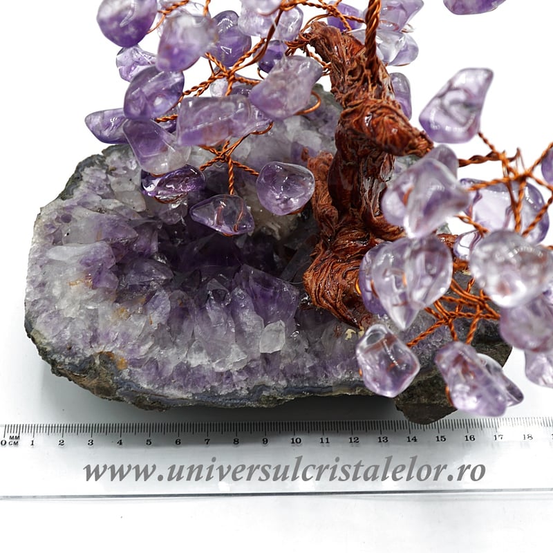 Pom ametist unicat m2