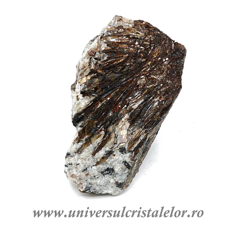 Astrofilit mineral unicat m12