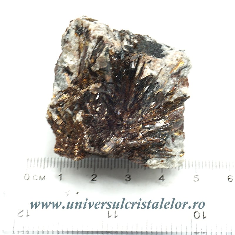 Astrofilit mineral unicat m6