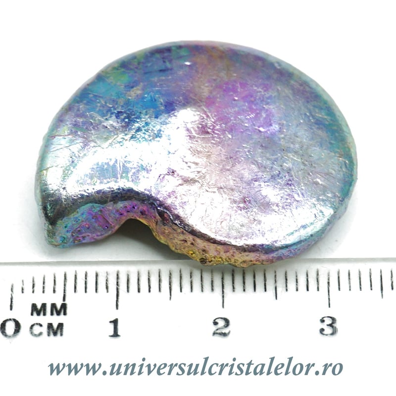 Figurina bismut amonit