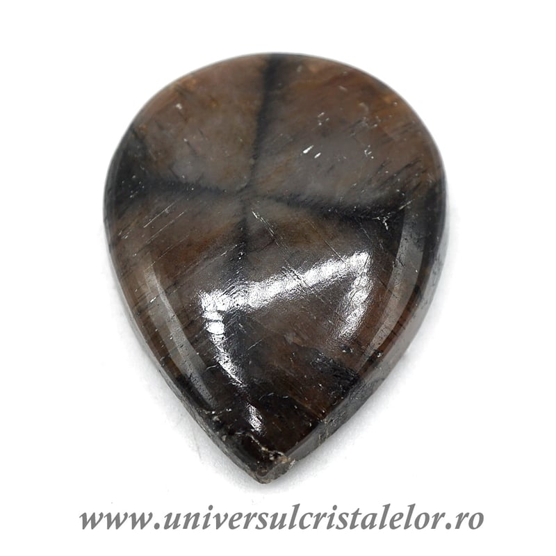 Cabochon chiastolit