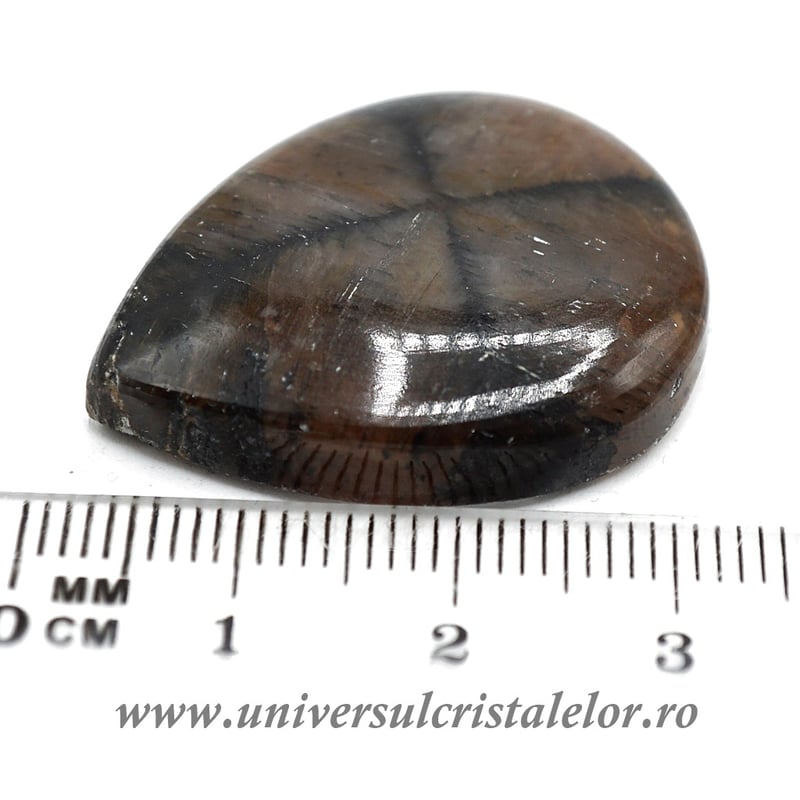 Cabochon chiastolit
