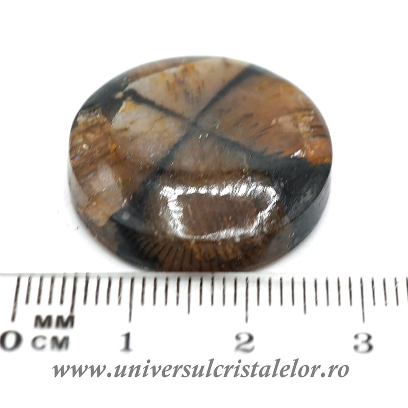 Cabochon chiastolit