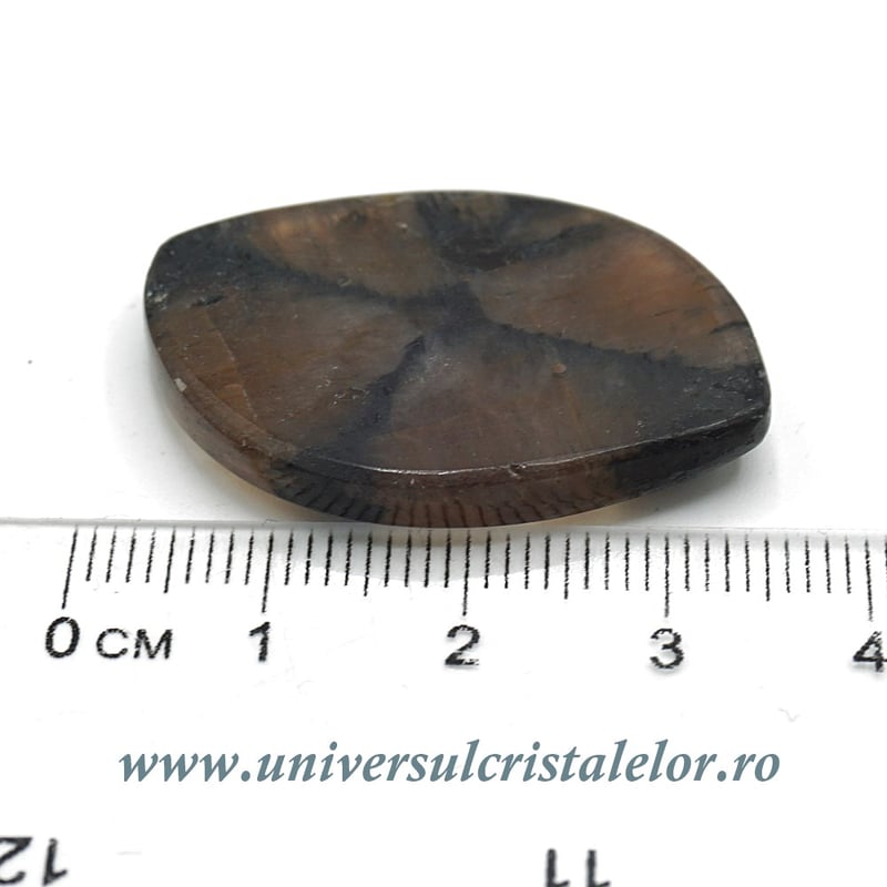 Cabochon chiastolit