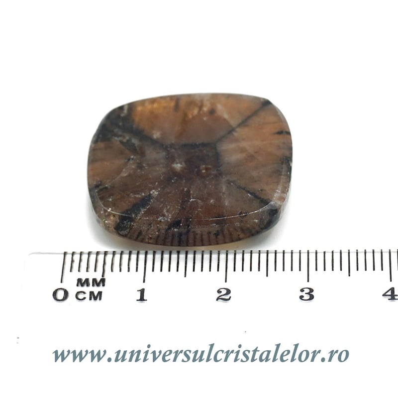 Cabochon chiastolit