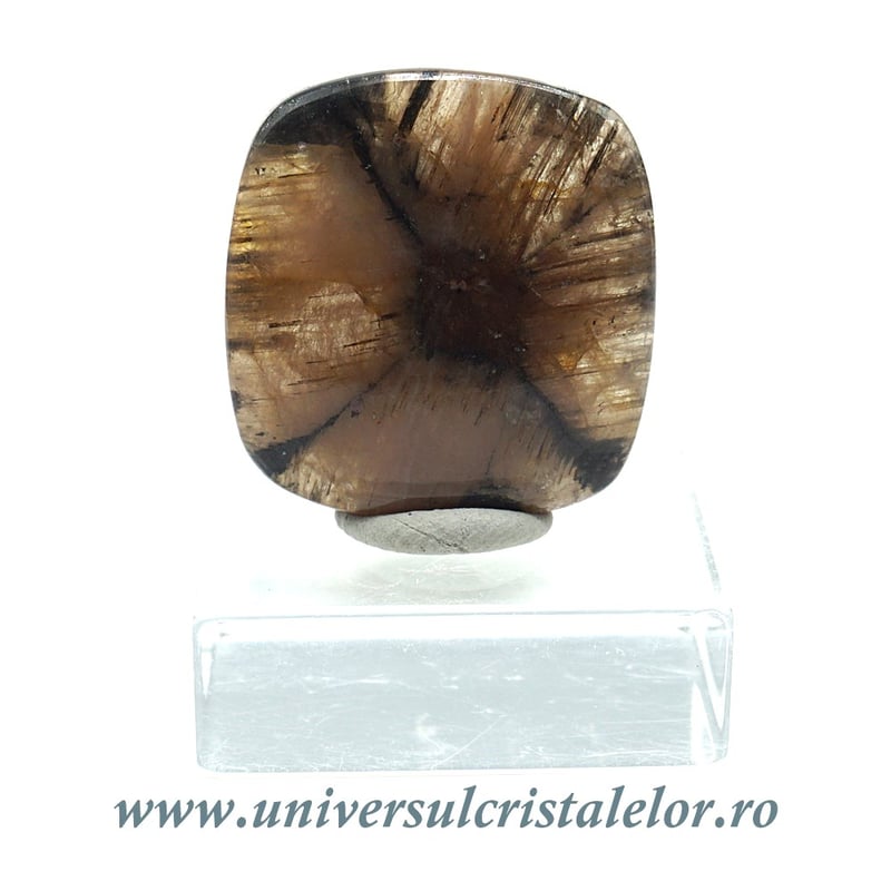 Cabochon chiastolit