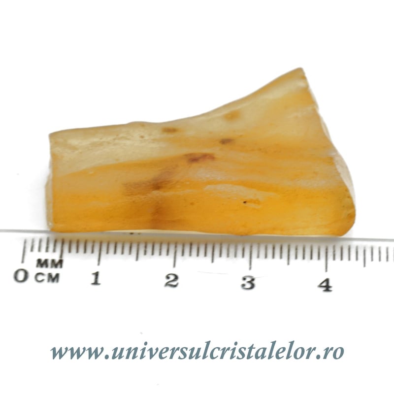 Copal (Chihlimbar tanar)