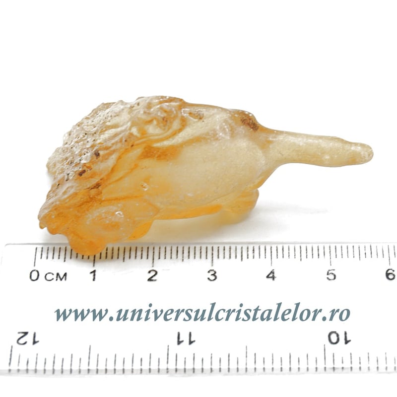 Copal (Chihlimbar tanar)