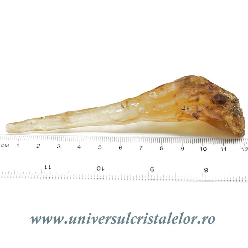 Copal (Chihlimbar tanar)