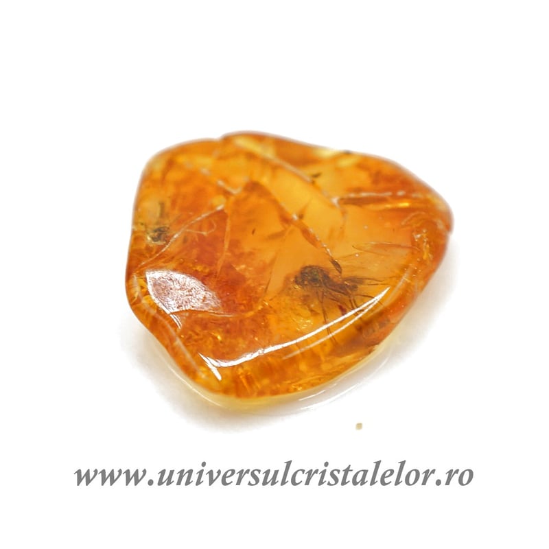 Chihlimbar cu insecte