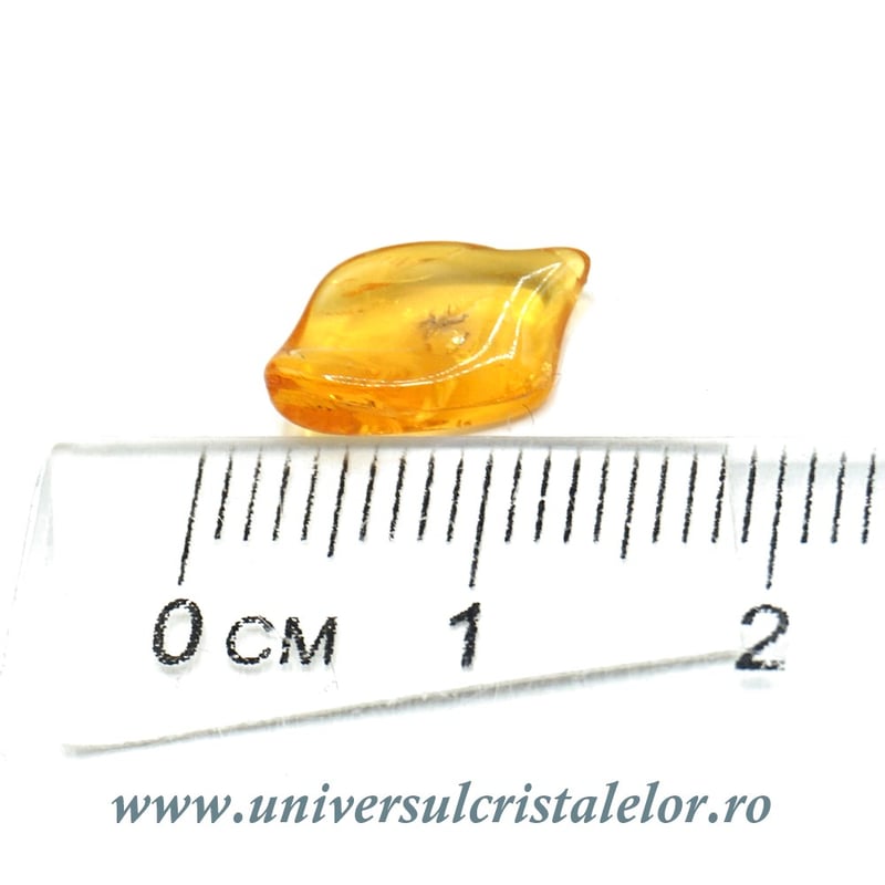 Chihlimbar cu insecte