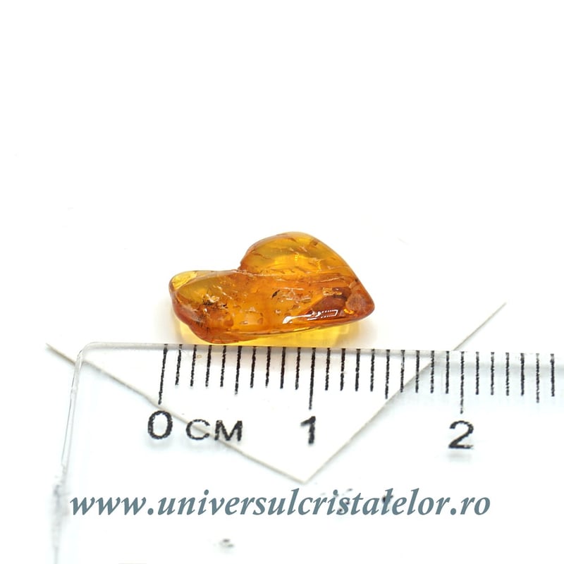 Chihlimbar cu insecte