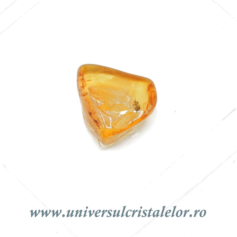 Chihlimbar cu insecte