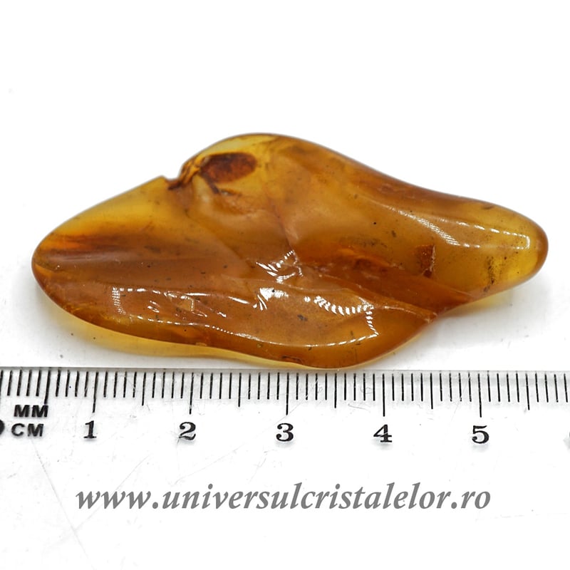 Copal (Chihlimbar tanar)