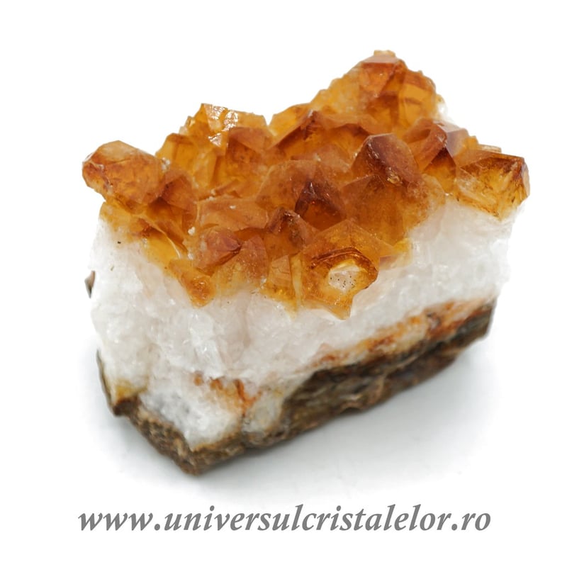 Citrin cluster unicat m25