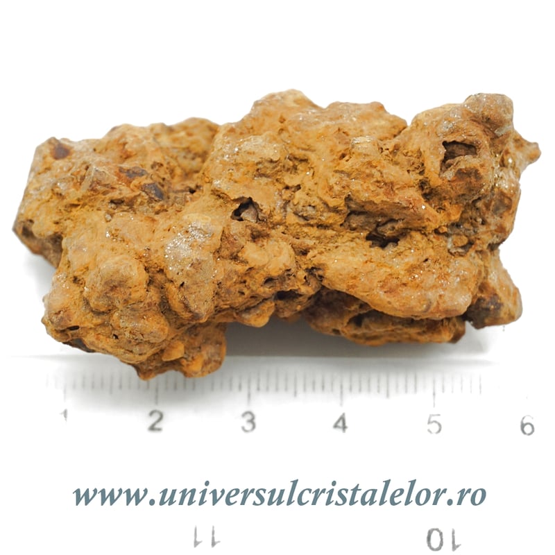 Coprolit broasca testoasa preistorica