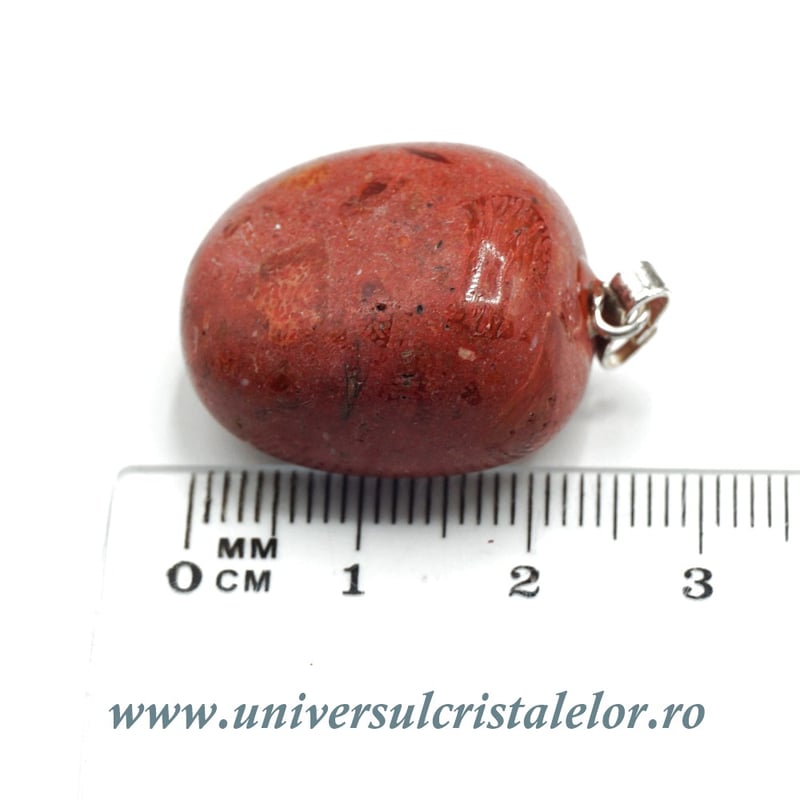 Pandantiv coral rosu (spongios)