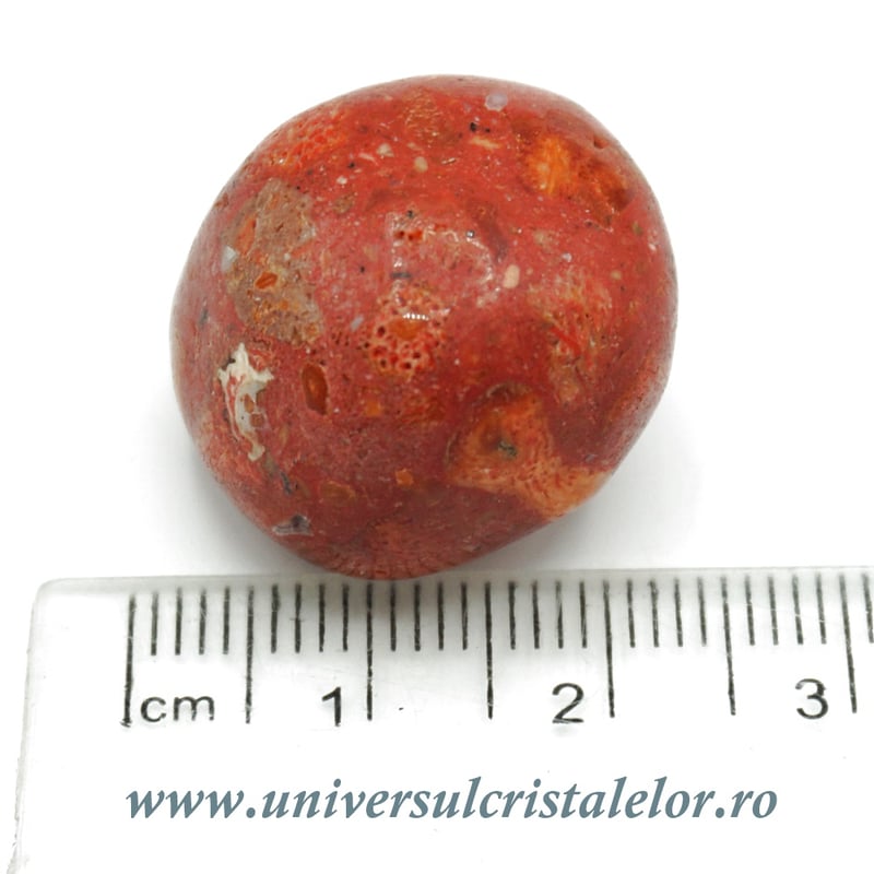 Coral rosu ( spongios ) piatra rulata