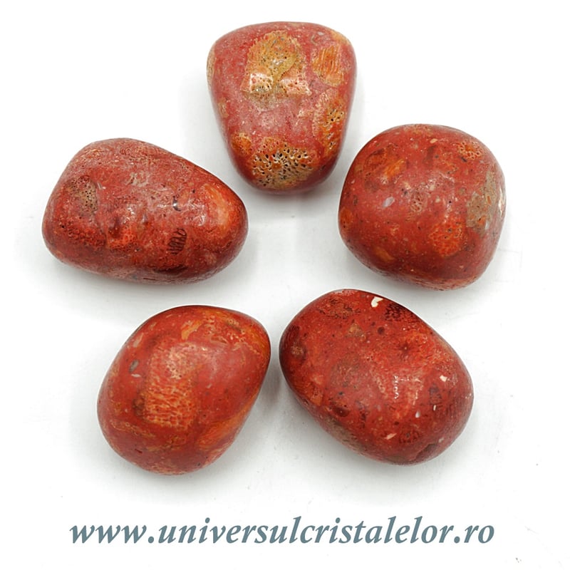 Coral rosu ( spongios ) piatra rulata