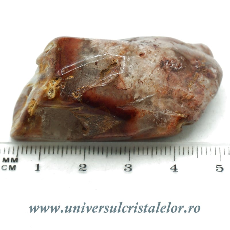 Cuart amfibol polisat